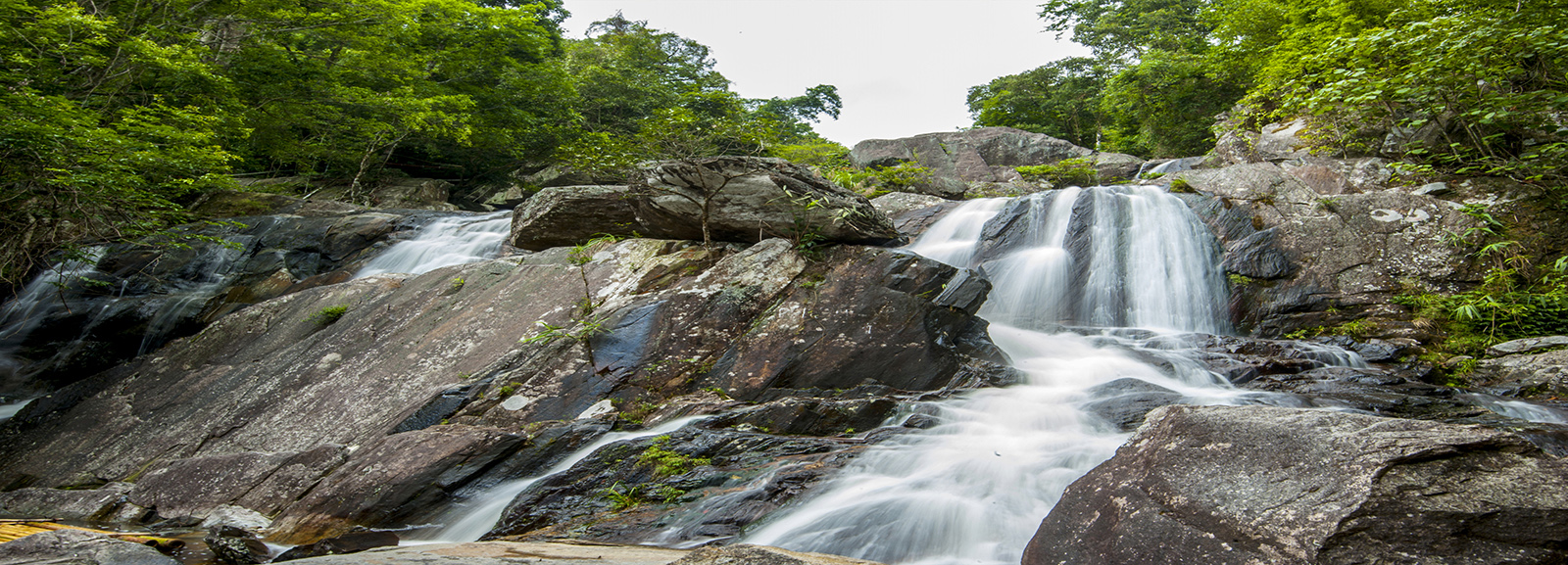 08 - banner_thac bac